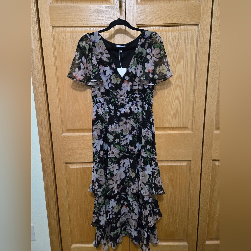Lucy Paris Black and Pink Floral Dress